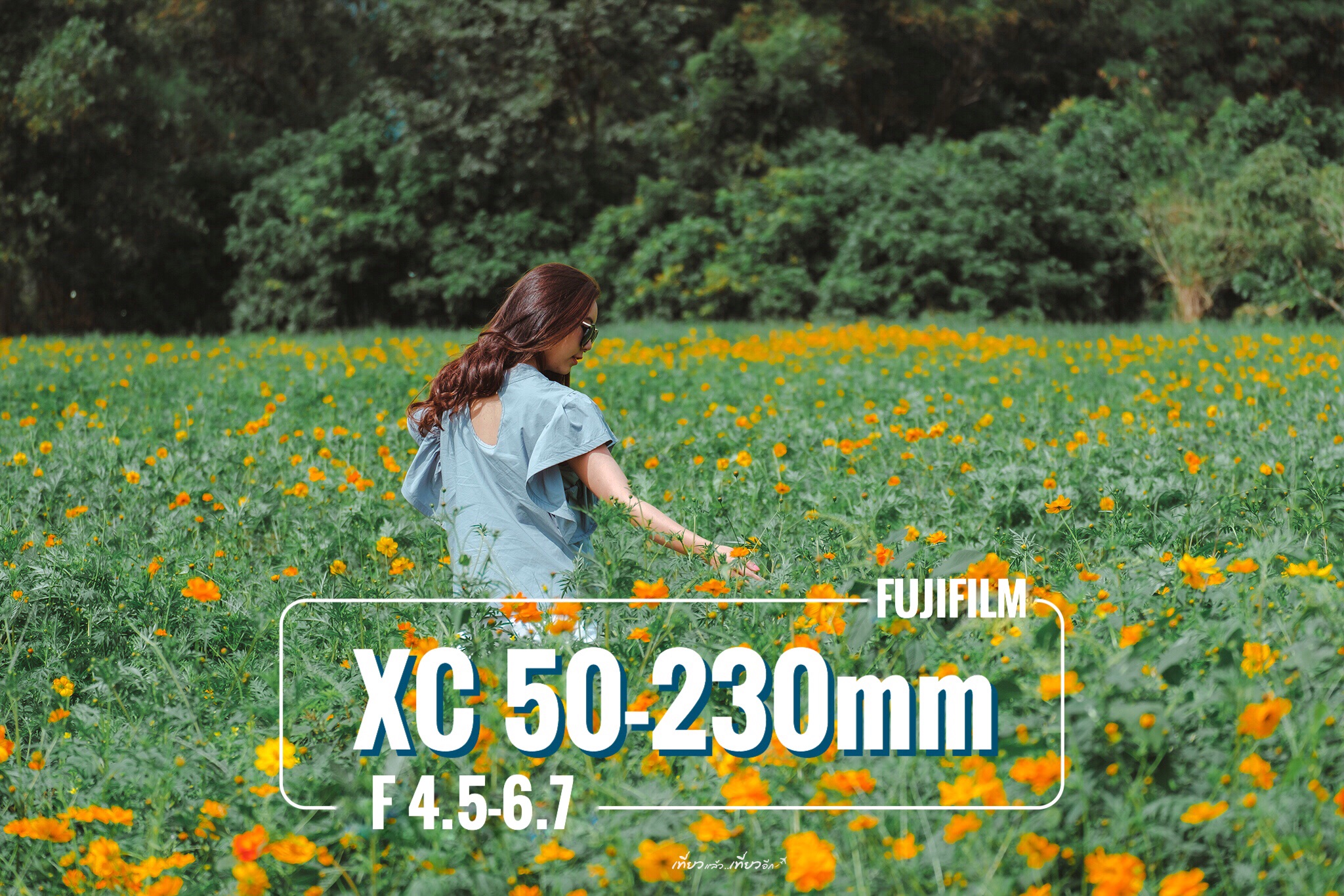 ร ว วเลนส ฟ จ Mini Review Fujinon Xc 50 230mm F4 5 6 7 Travels Again